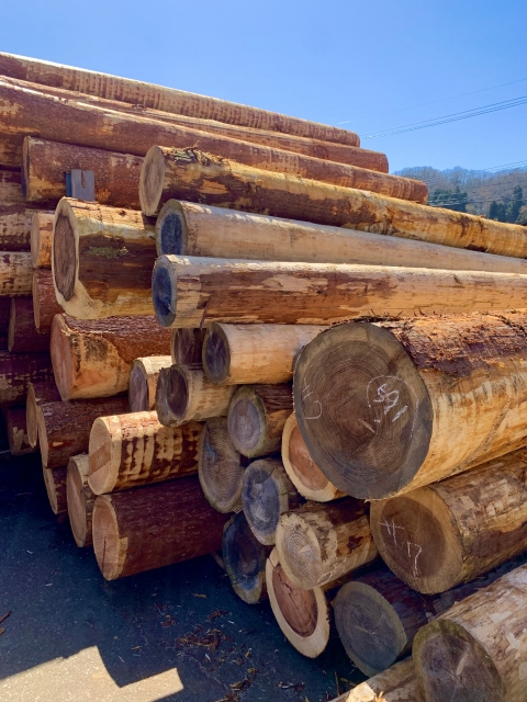自社工場においての木材の仕分け、管理