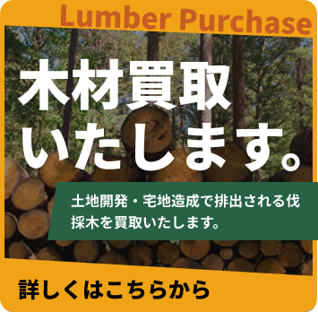 土地開発・宅地造成で排出される伐採木を買取いたします。