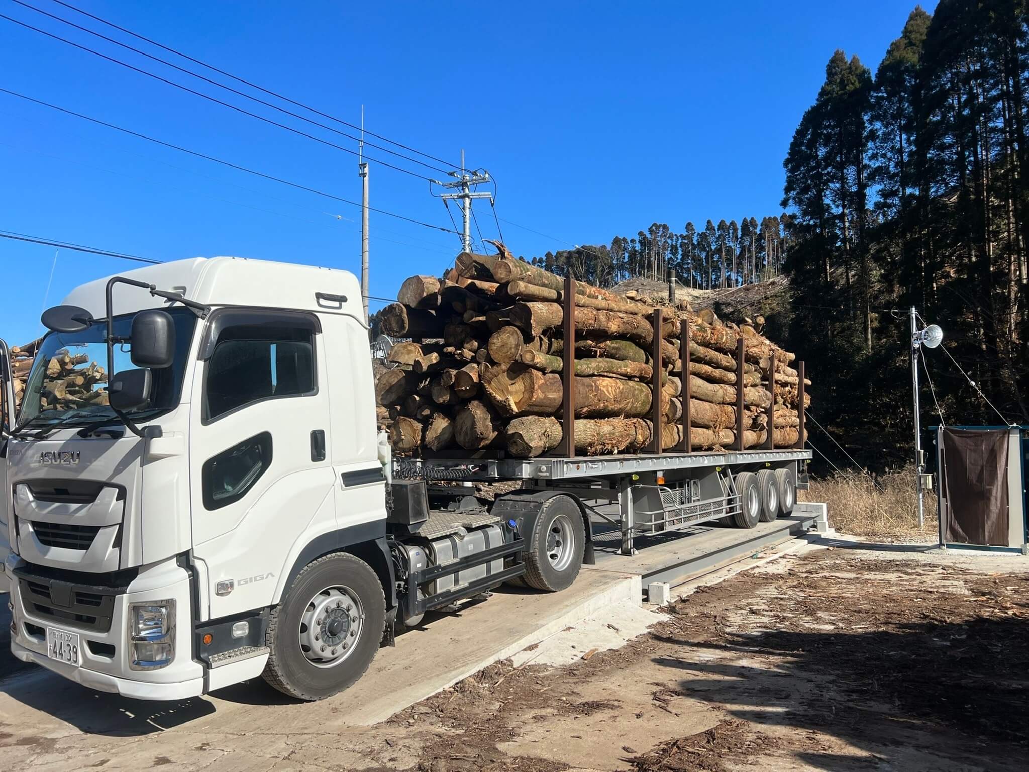 トレーラー、大型トラック、大型ダンプ等での原木、木材チップの出荷