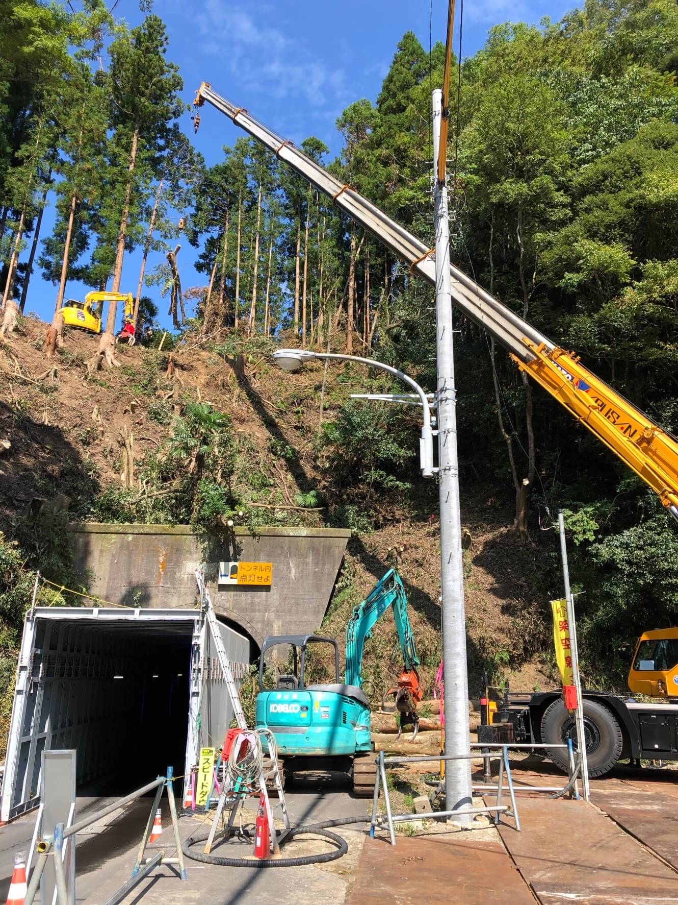 安全で確実な高木処理