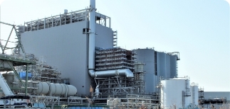 バイオマス発電工場への原木出荷、チップ出荷